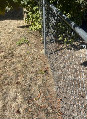 FREE Chain Link Fence 146 feet – disassemble it and it’s yours